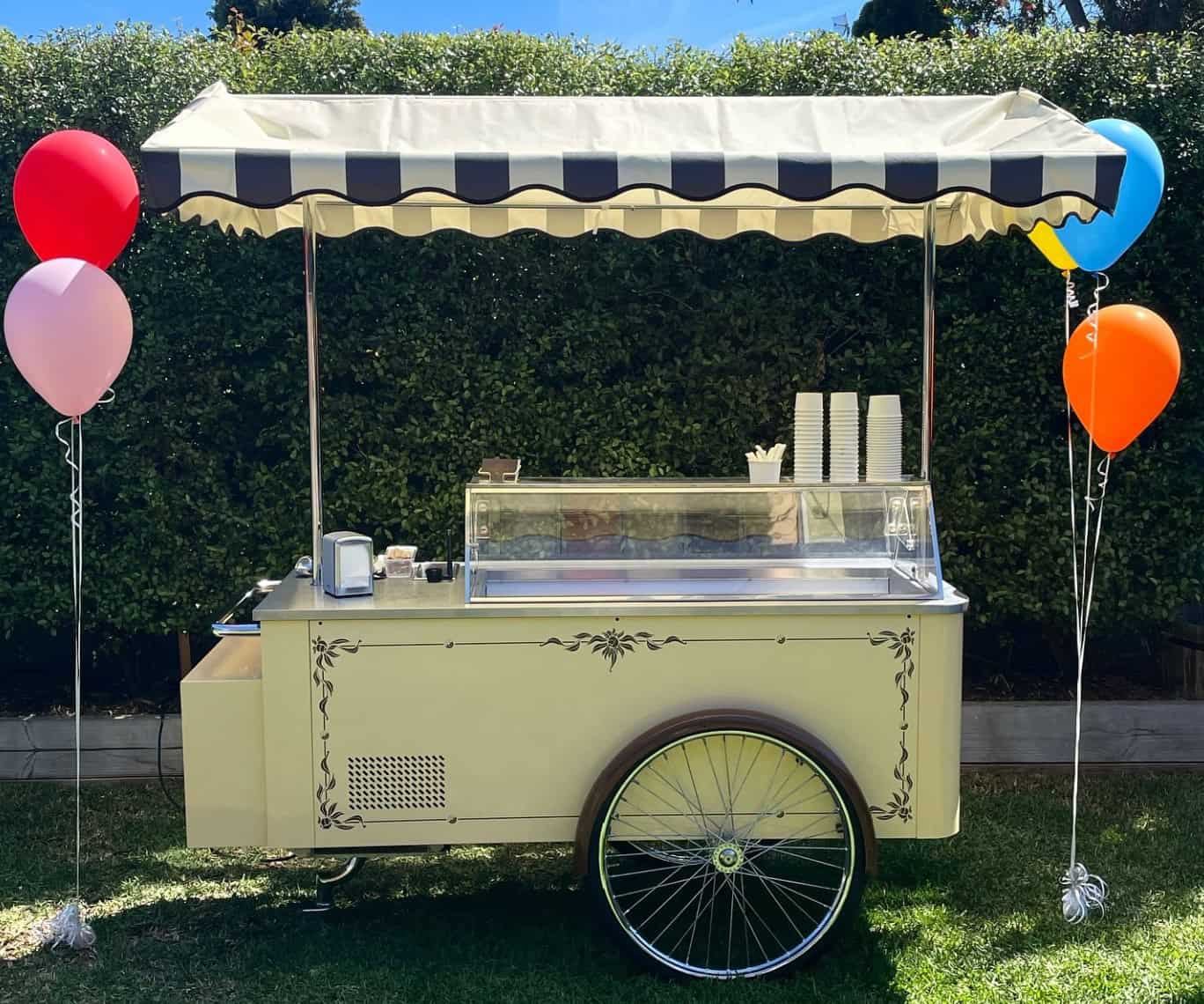 gelato cart at 6th birthday celebration