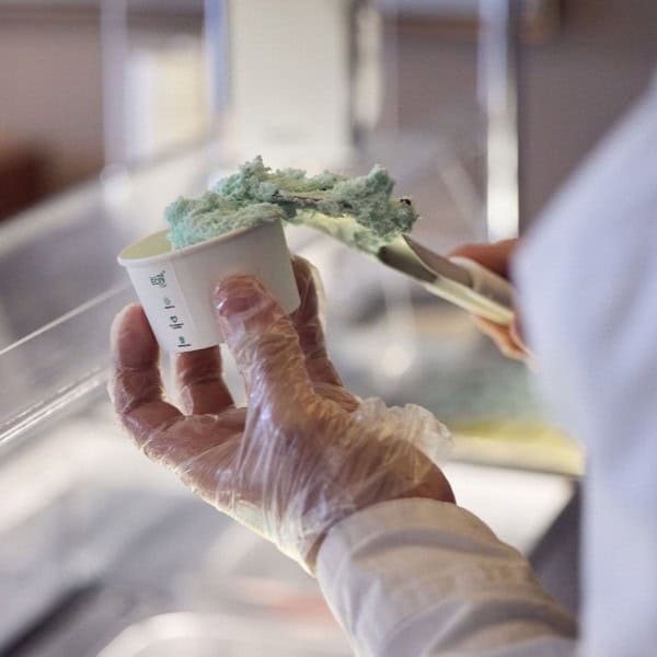 scooping-choc-mint-gelato